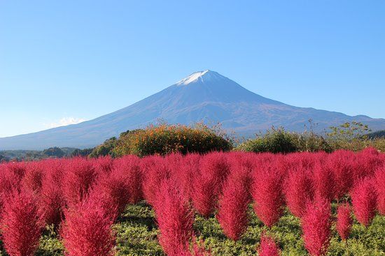 Kawaguchiko Natural Living Center